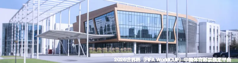 我们的故事：从球迷到守护者